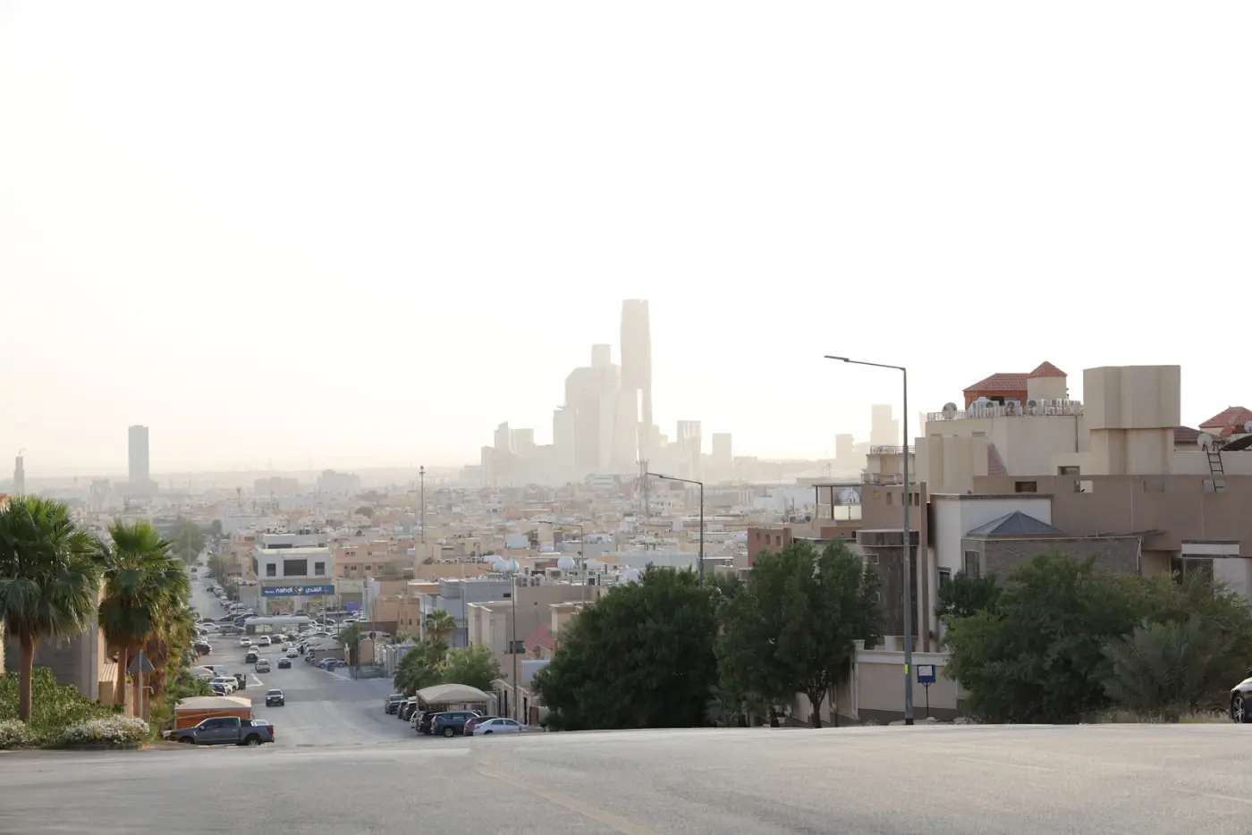Riyadh skyline with modern buildings and palm trees